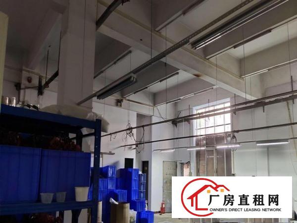  塘厦龙背岭新出标准一楼1100平米出租