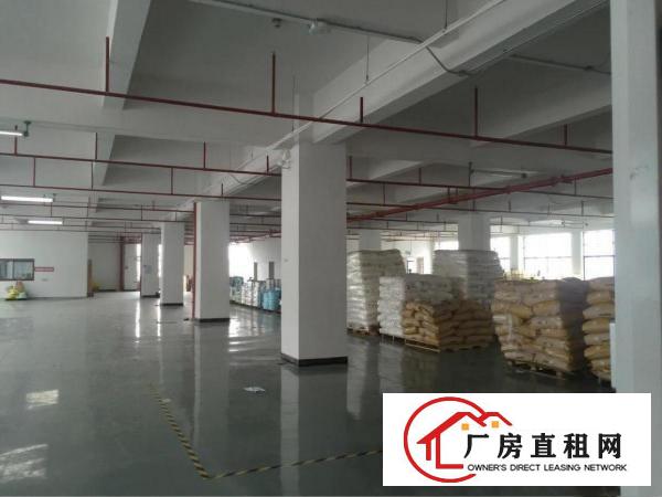  塘厦镇138工业区标准2楼1875平方租金15元！现成装修！