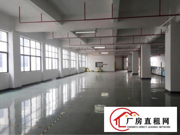  塘厦镇138工业区标准2楼1875平方租金15元！现成装修！