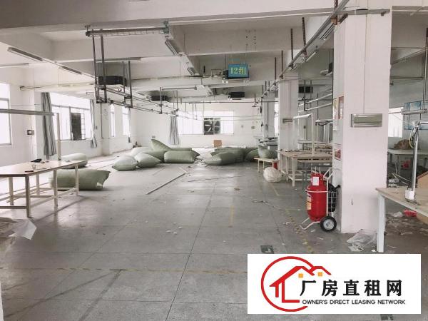  塘厦科苑城标准1楼680平方！正规工业厂房！可办环评