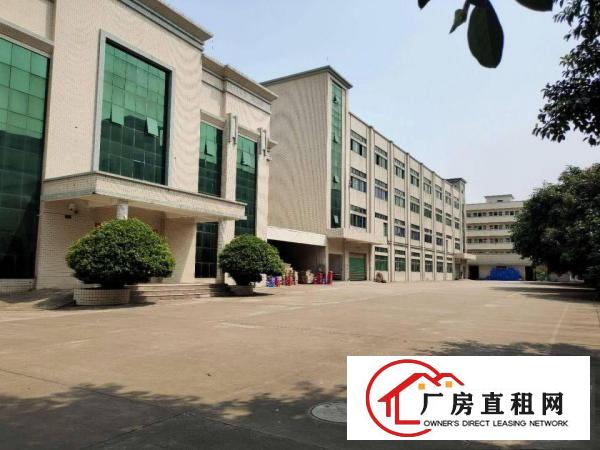  塘厦石马原房东直租1楼1740平方！高6米！现成主线办公室