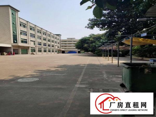  塘厦石马原房东直租1楼1740平方！高6米！现成主线办公室