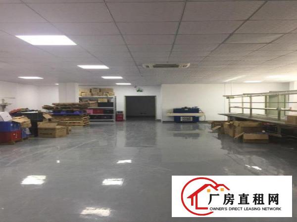  塘厦石马标准厂房3楼500平方！地坪漆天花吊顶装修