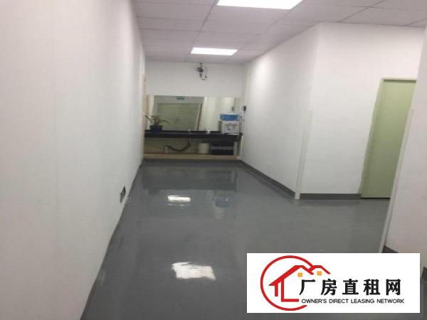  塘厦石马标准厂房3楼500平方！地坪漆天花吊顶装修