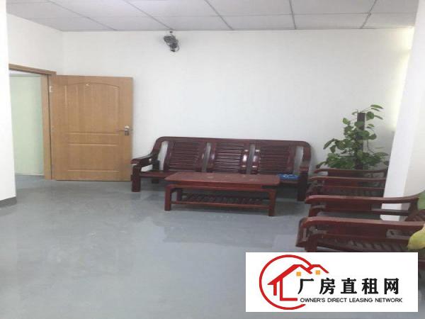  塘厦石马标准厂房3楼500平方！地坪漆天花吊顶装修