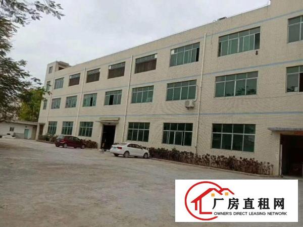  塘厦石马标准厂房3楼500平方！地坪漆天花吊顶装修