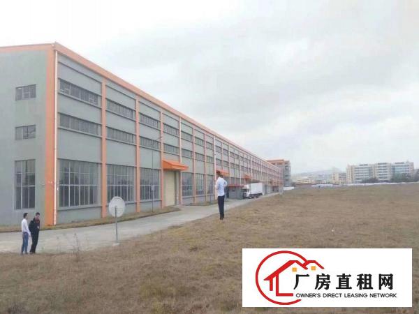  塘厦原房东厂房出租,大坪高速新出10000平,单一层钢构，