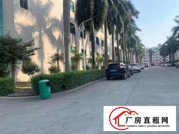  塘厦大坪新出原房东标准2层厂房出租