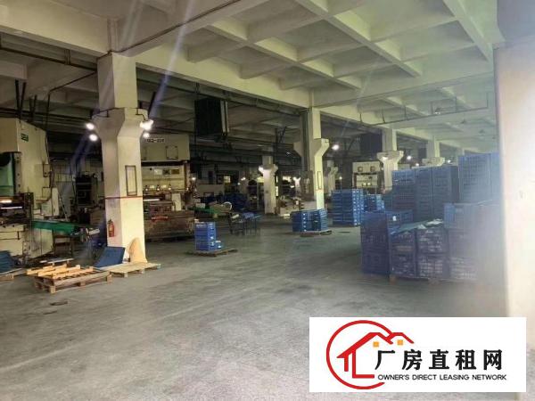  塘厦大坪新出原房东标准2层厂房出租
