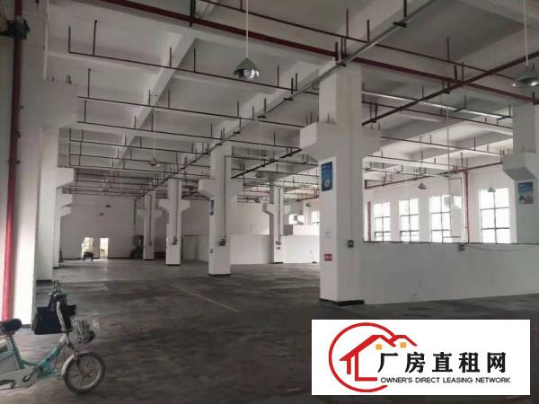  塘厦龙背岭新出原房东1500平方带精装修一楼厂房出租，无公摊