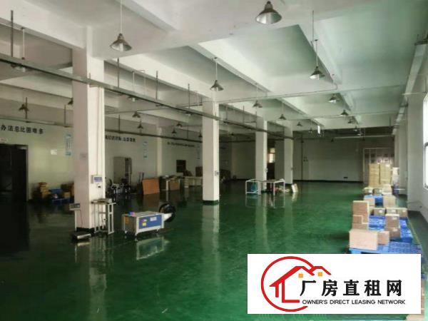  塘厦石马新出独栋3000平厂房，现成装修水电，仅租16元全包