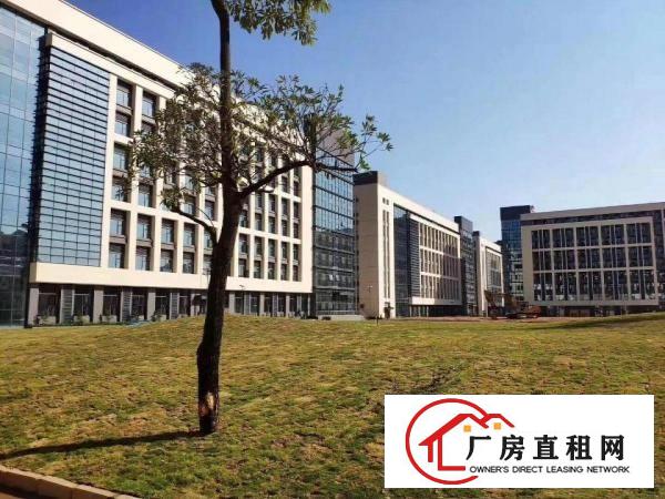  塘厦临深全新红本厂房3栋88000平方！形象大气上市公司