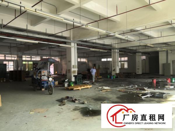  塘厦四村一楼1300厂房招租水电齐全豪华装修
