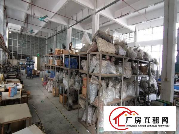  塘厦沙湖新出便宜一楼厂房600平方，高度6米，现成装修