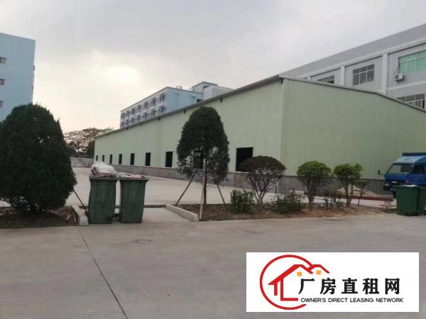  塘厦高丽工业区新出钢结构1100平方米，内高6.5米。空地大