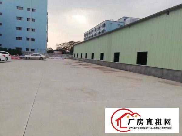  塘厦高丽工业区新出钢结构1100平方米，内高6.5米。空地大