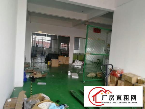  塘厦石鼓新出楼上500平带电梯，地坪漆精装，无公摊