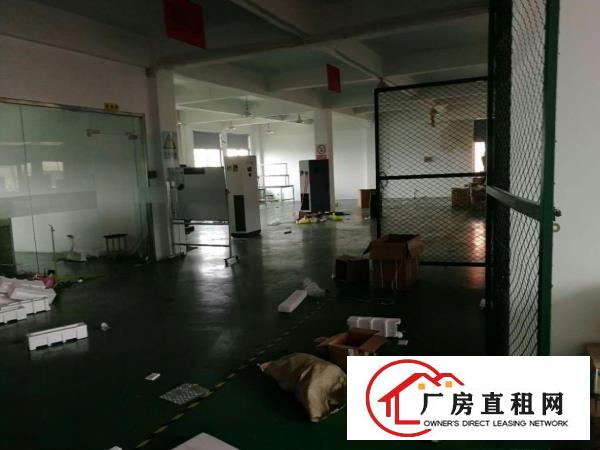  塘厦石鼓新出楼上500平带电梯，地坪漆精装，无公摊