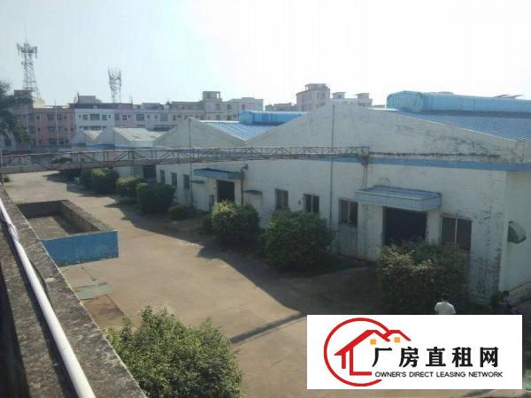  塘厦大坪高速口新出1500平方单一层，厂房敞亮水电现成