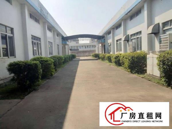  塘厦大坪高速口新出1500平方单一层，厂房敞亮水电现成
