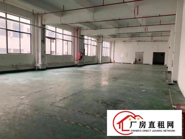  塘厦石鼓新出标厂楼上1200平，新出装修办公室，拎包入住!!