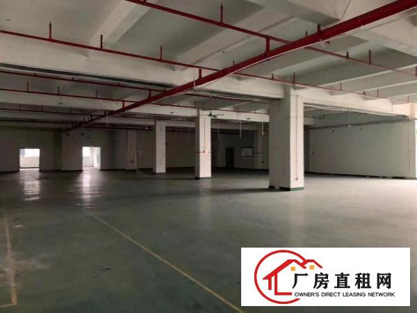  塘厦石鼓新出标厂楼上1200平，新出装修办公室，拎包入住!!
