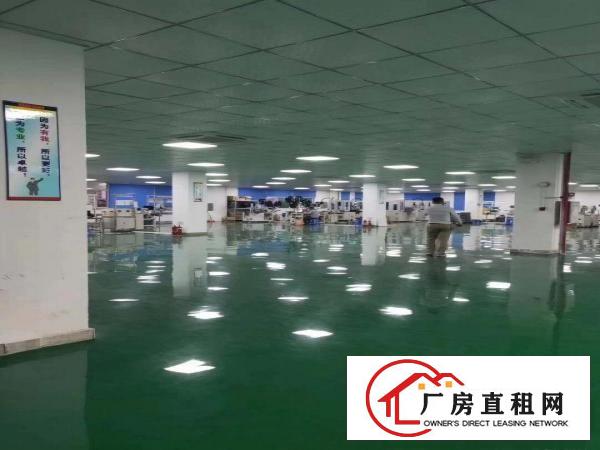 塘厦田心工业区标准2楼3000平方！现成装修！带环评
