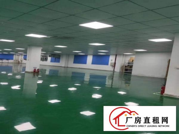  塘厦田心工业区标准2楼3000平方！现成装修！带环评