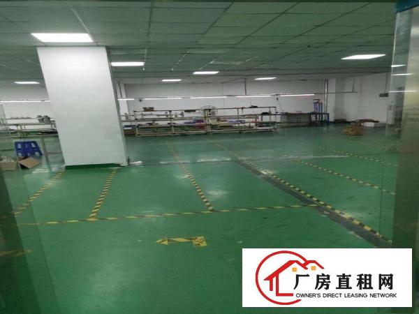  可做电池行业！标准2楼1000平方！地坪漆天花吊顶装修