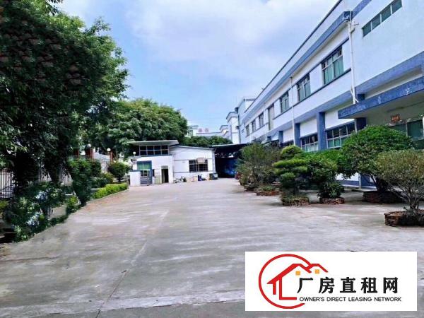  塘厦横塘经典小独院5200平方！靓象靓丽！现成装修