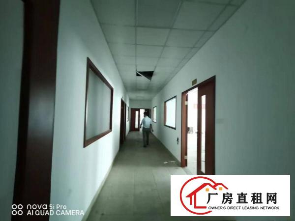  塘厦原房东精装修独院厂房14000平方带无尘车间出租