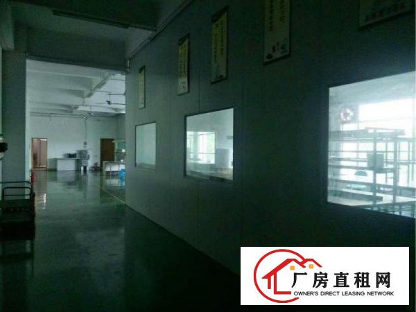 塘厦科苑城花园式厂房楼上1000平方带豪华装修无转让费