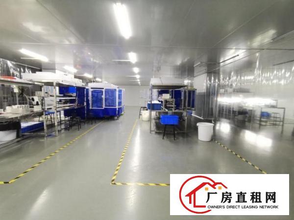  无尘车间!塘厦科苑城楼上2000平方口罩客户厂房招租