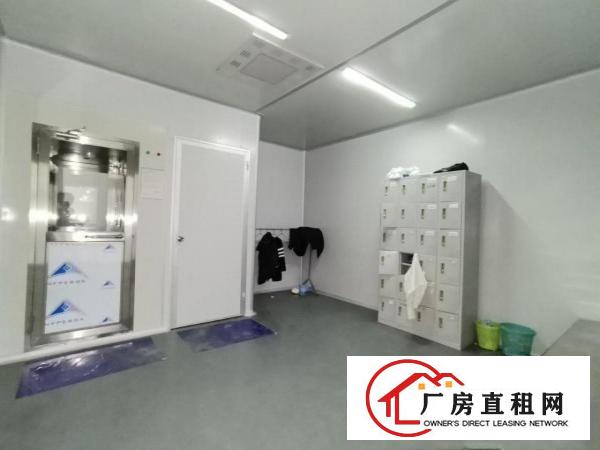 无尘车间!塘厦科苑城楼上2000平方口罩客户厂房招租