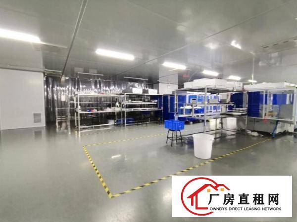  无尘车间!塘厦科苑城楼上2000平方口罩客户厂房招租