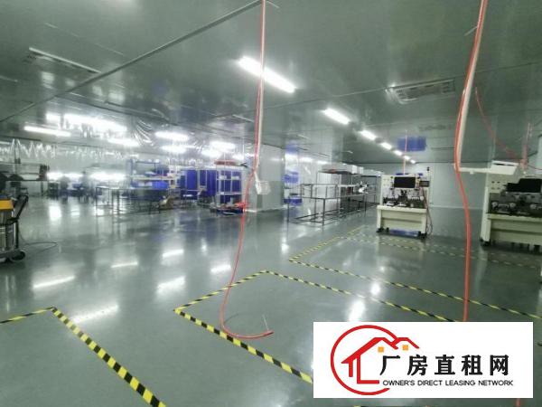  无尘车间!塘厦科苑城楼上2000平方口罩客户厂房招租