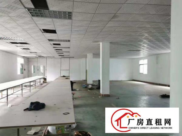  塘厦石马楼上精装修吊顶厂房380平方带办公出租