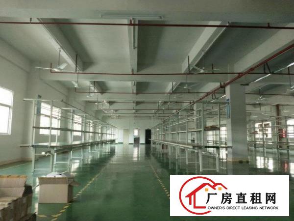  塘厦桥陇近凤岗独院标准3楼1200平方！可做电池，现成装修