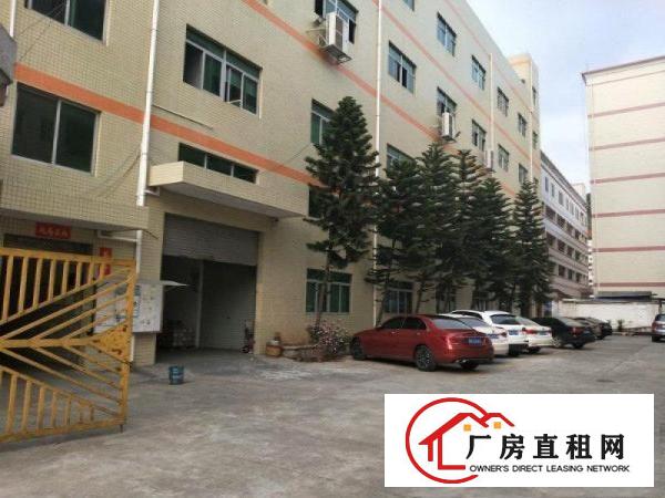  塘厦桥陇近凤岗独院标准3楼1200平方！可做电池，现成装修