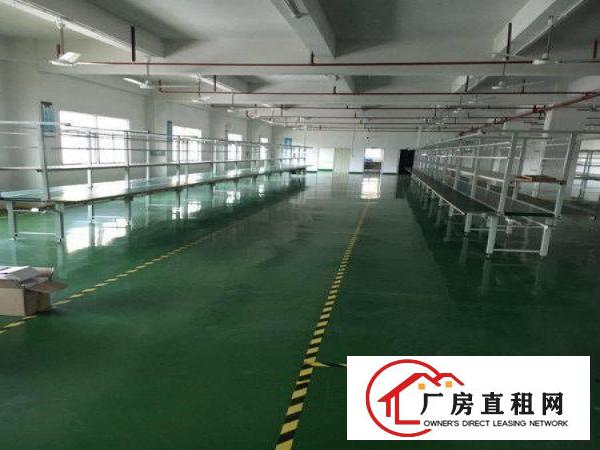  塘厦桥陇近凤岗独院标准3楼1200平方！可做电池，现成装修