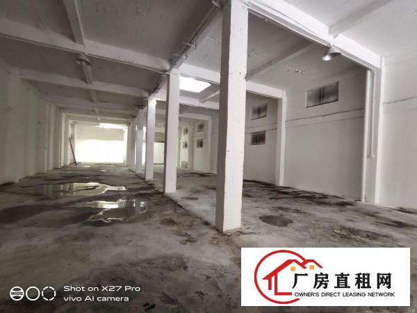  塘厦林村新出标准单一层600平高6.5米现成办公室空地超大