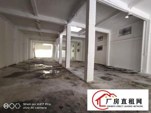  塘厦林村新出标准单一层600平高6.5米现成办公室空地超大