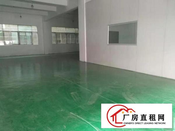  清溪新出独院精装修厂房2500平，形象靓，交通方便