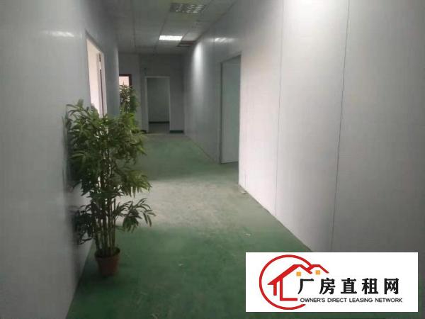  清溪新出独院精装修厂房2500平，形象靓，交通方便