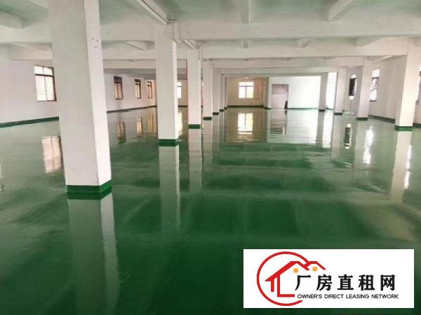  清溪新出独院精装修厂房2500平，形象靓，交通方便