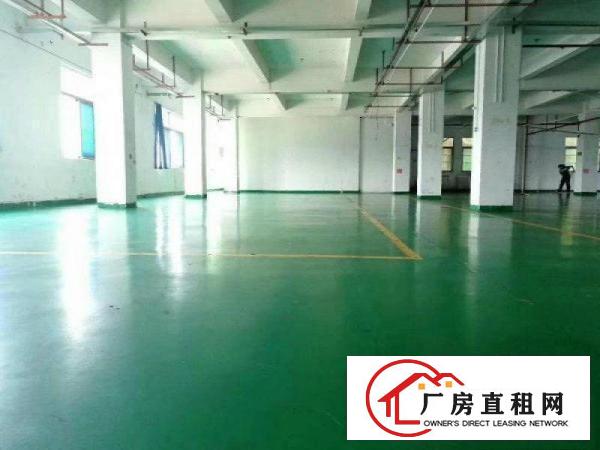  清溪新出独院精装修厂房2500平，形象靓，交通方便