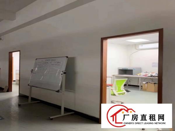  塘厦桥陇标准独院3300平，现成装修水电，拎包入驻原房东