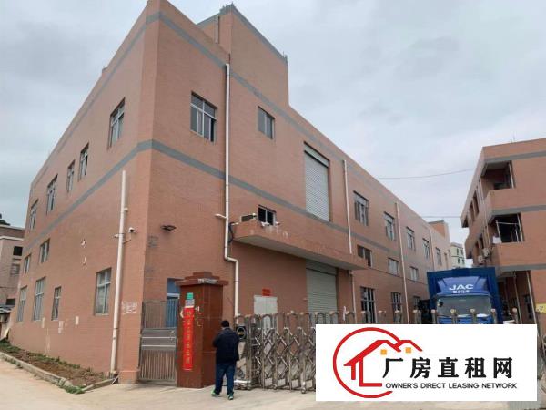  塘厦桥陇新出5200平标准独院，现成装修主线，仅租16