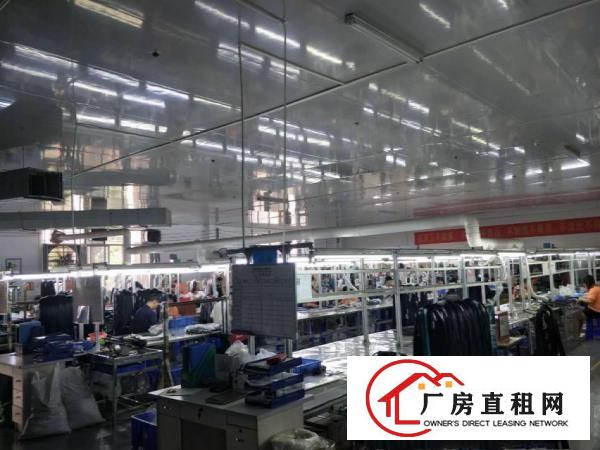 塘厦振兴围新出原房东标准厂房三楼1000平方，水电齐全无公摊