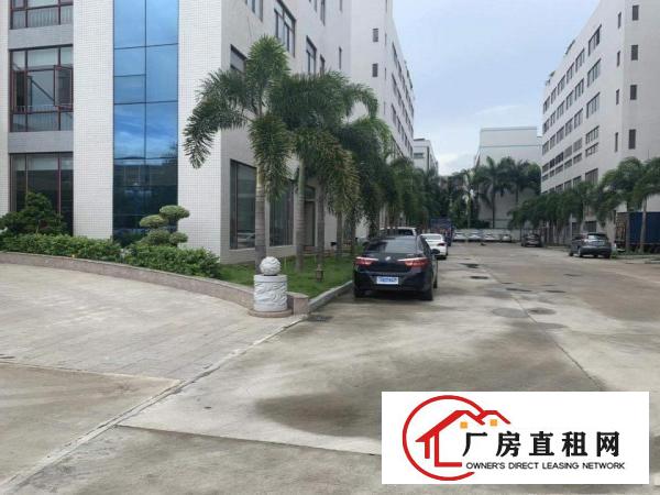  塘厦各类型村委厂房，原房东厂房，500起分组，10元起